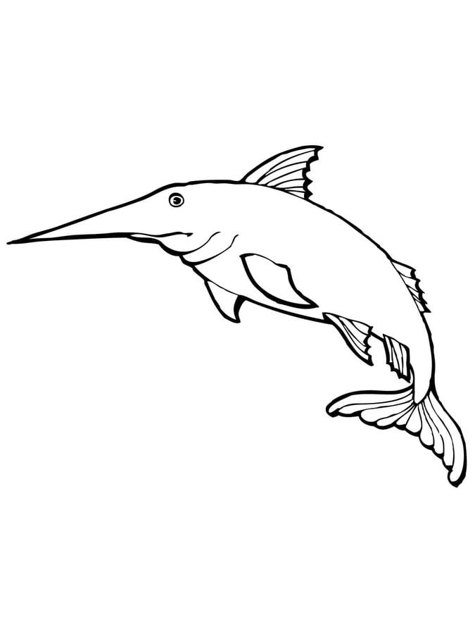 Coloring pages: Marlin 1