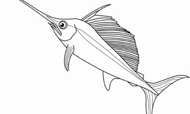 Coloring pages: Marlin