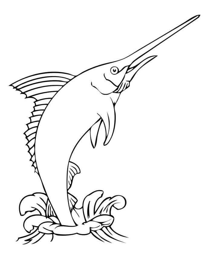 Coloring pages: Marlin 3
