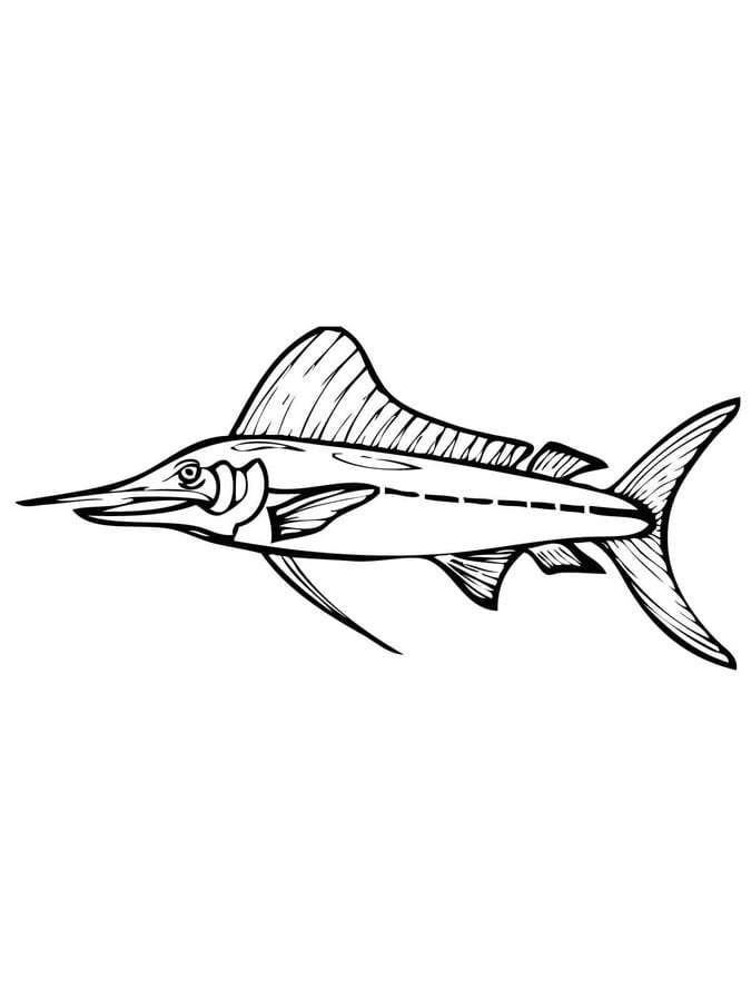 Coloring pages: Marlin 5