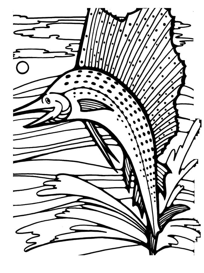 Coloring pages: Marlin 6
