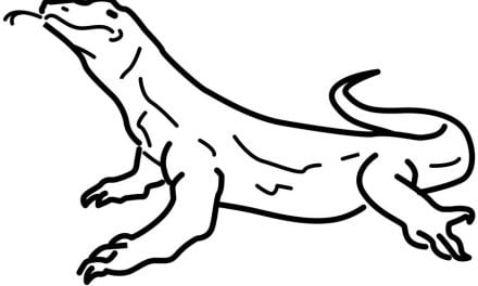 Coloring pages: Monitor lizard