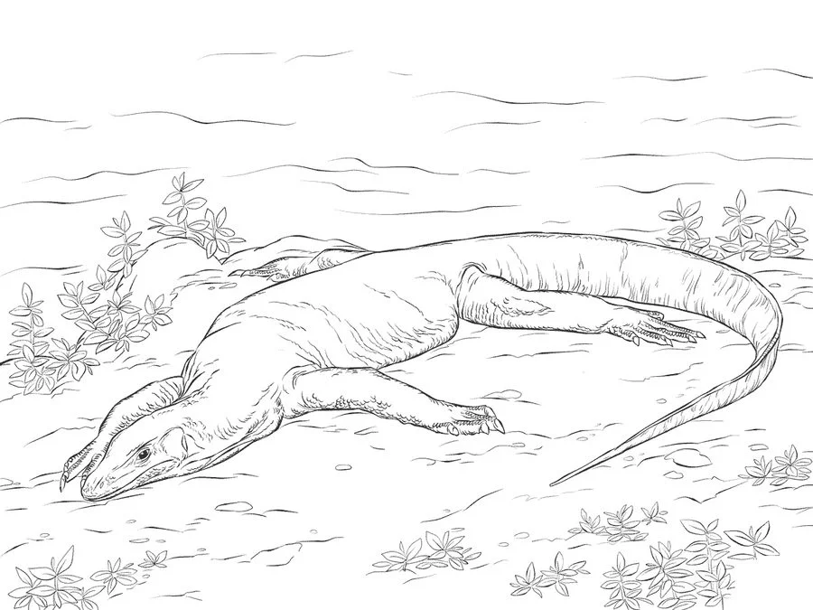 Kolorowanki: Waran 5