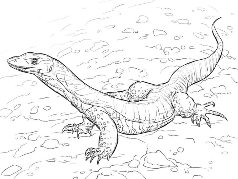 Coloring pages: Monitor lizard, printable for kids &amp; adults, free