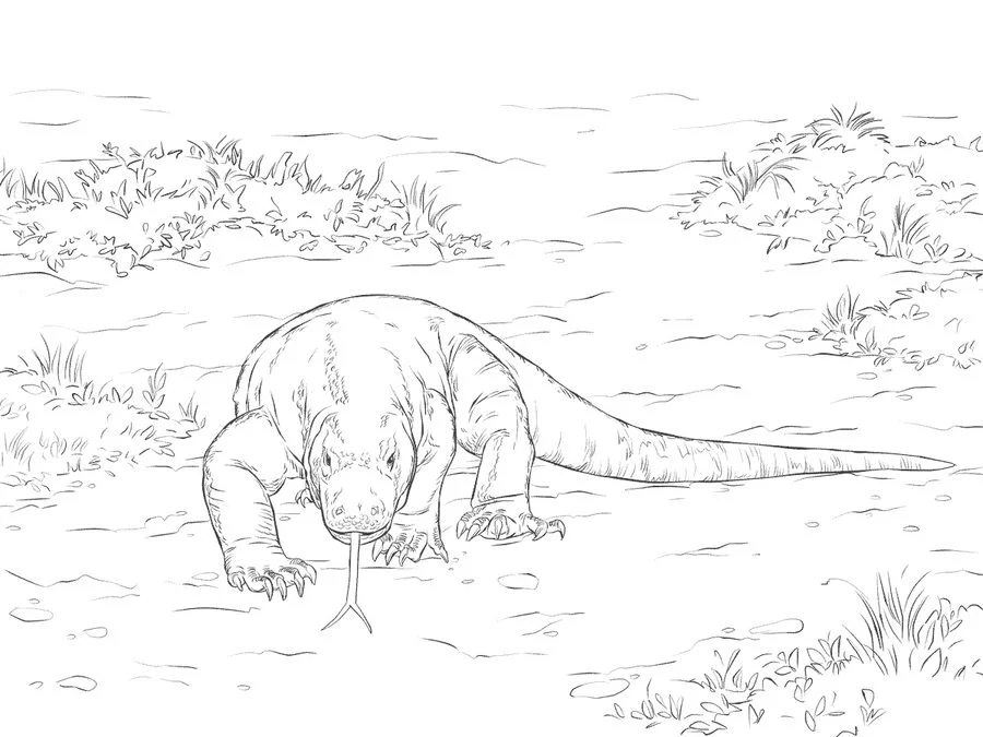 Kolorowanki: Waran 8