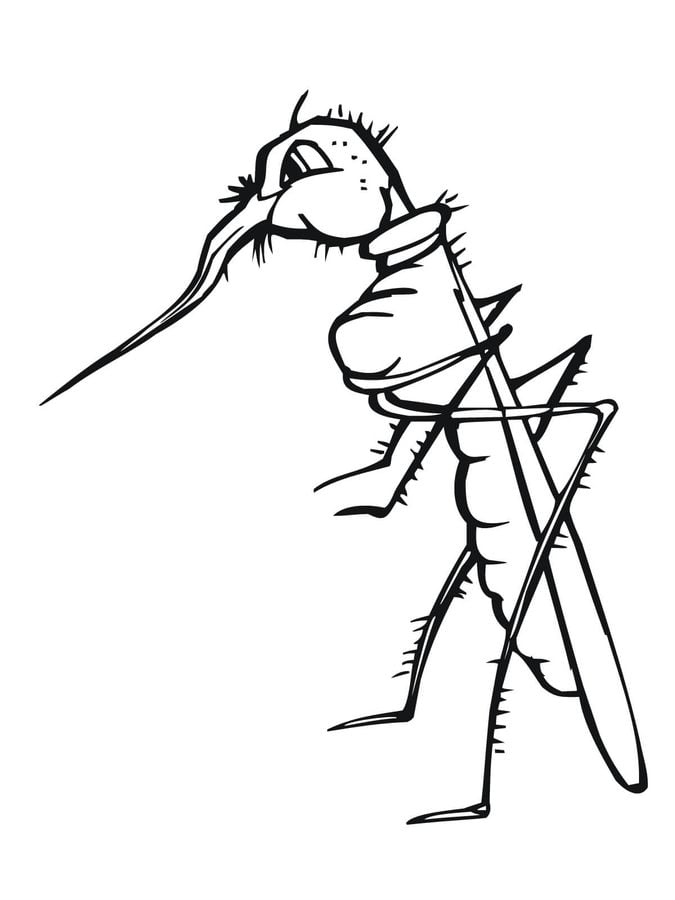 Dibujos para colorear: Mosquito