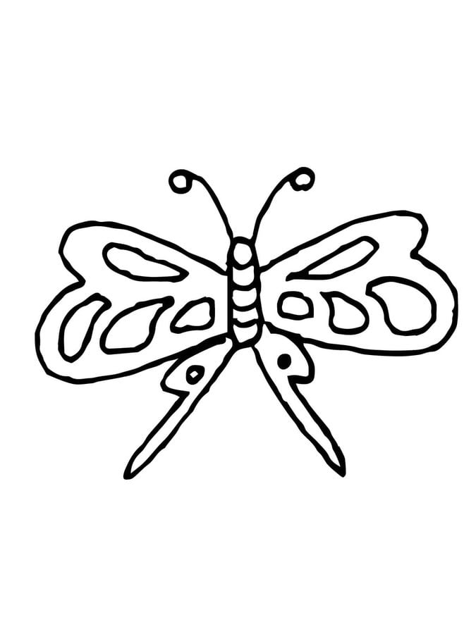 Coloring pages: Moth