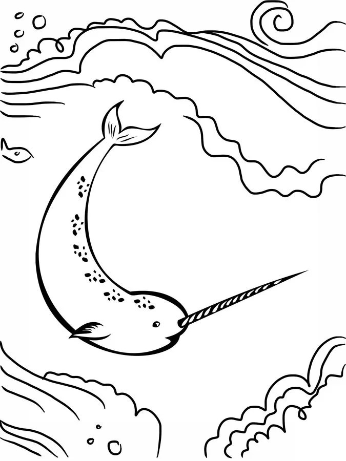 Coloring pages: Narwhal