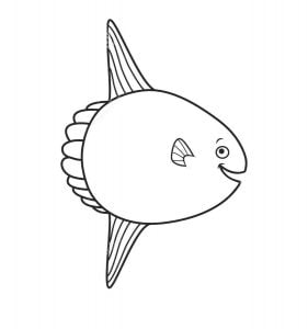 Coloring pages: Ocean Sunfish, printable for kids & adults, free