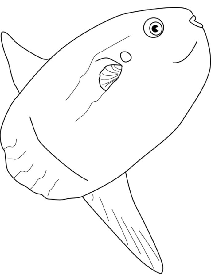 Disegni da colorare: Pesce luna