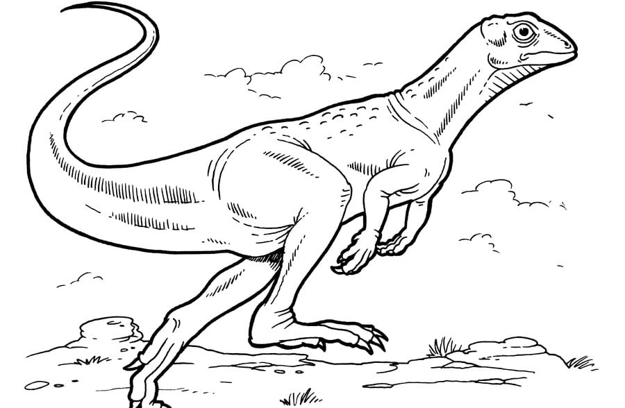 Kolorowanki: Dinozaury ptasiomiedniczne