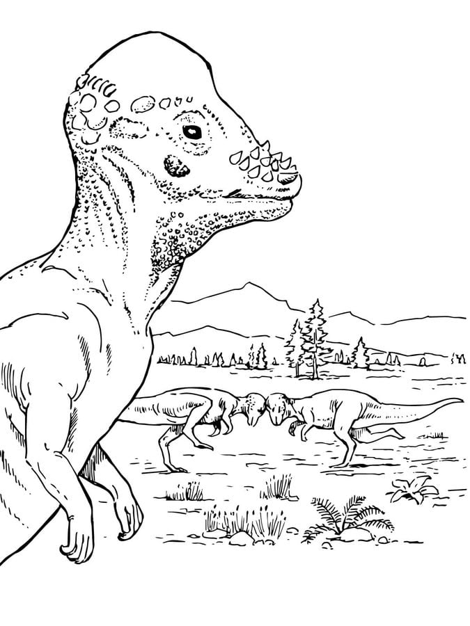 Kolorowanki: Dinozaury ptasiomiedniczne