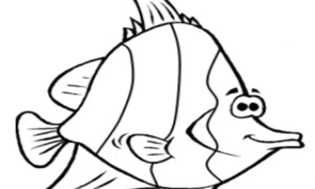 Coloring pages: Pennant coralfish