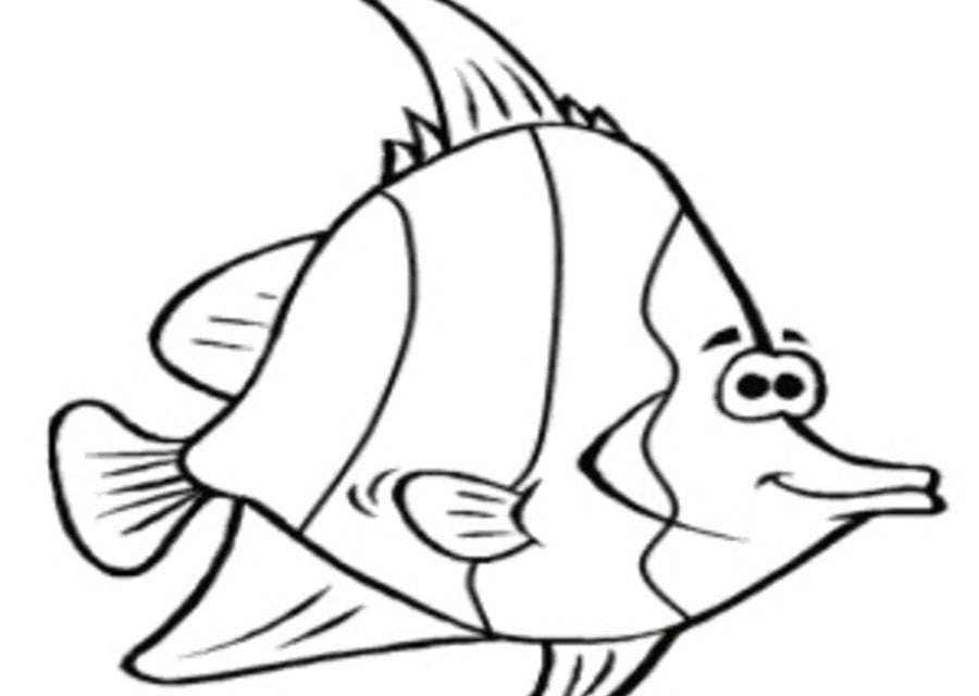 Coloring pages: Pennant coralfish