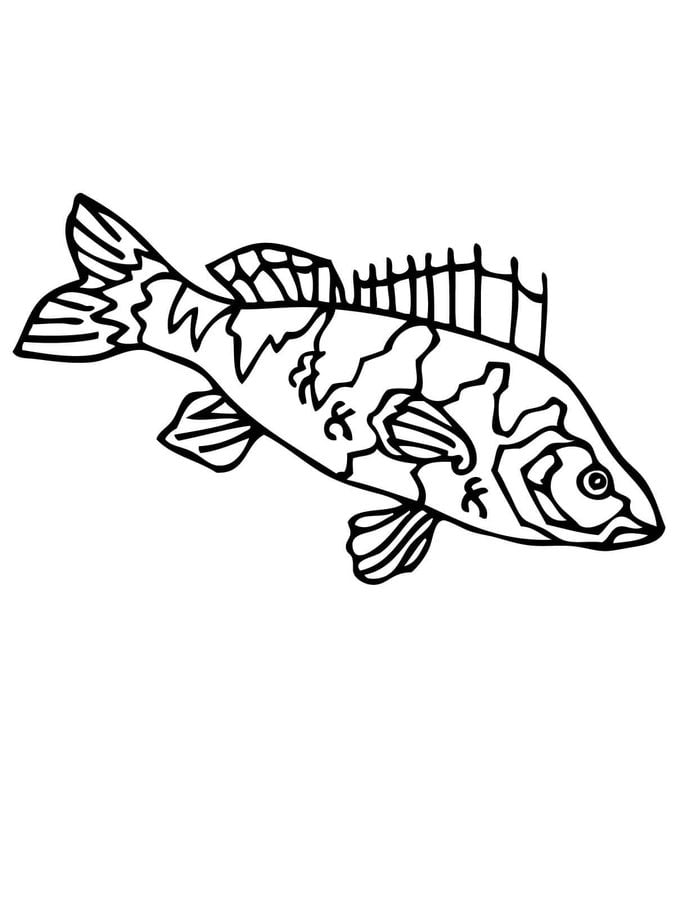 Coloring pages: Perch 4