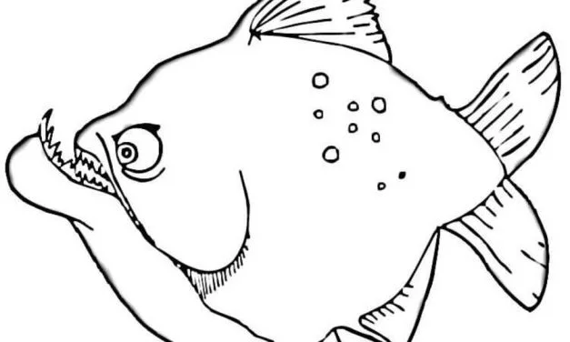 Coloring pages: Piranhas