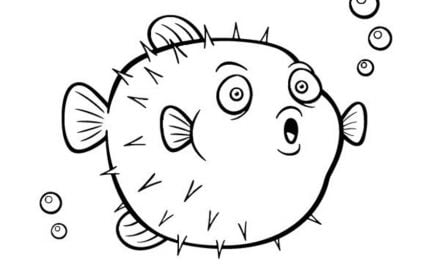 Coloring pages: Porcupine fish