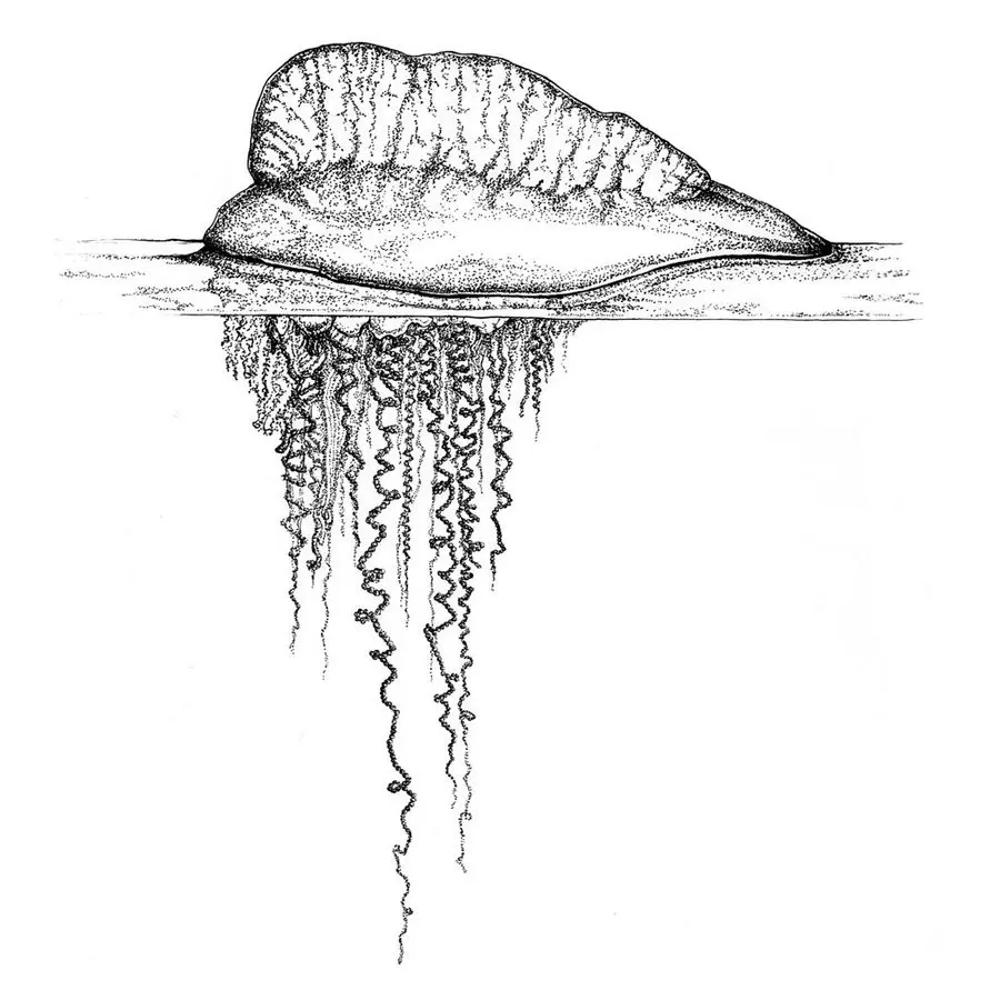 Ausmalbilder: Portugiesische Galeere 5