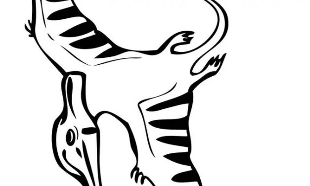 Coloring pages: Pteranodon