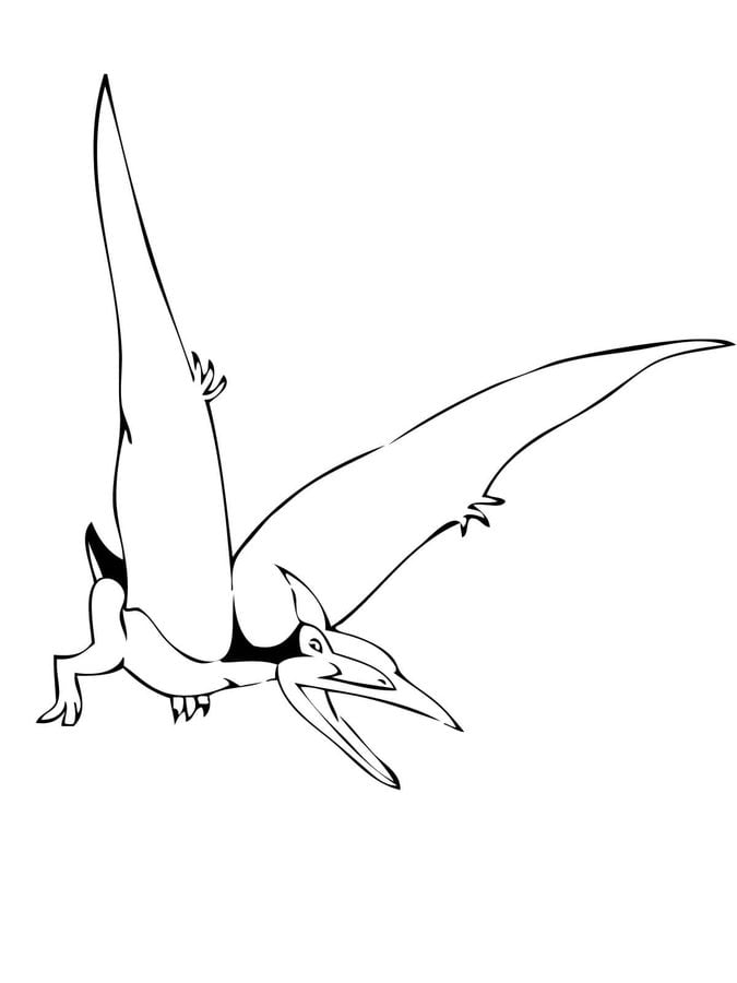Kolorowanki: Pteranodon