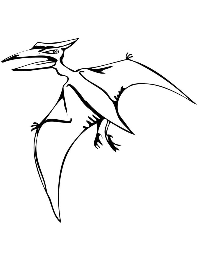 Kolorowanki: Pteranodon