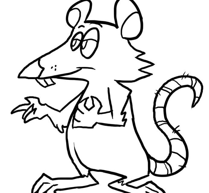 Dibujos para colorear: Ratas