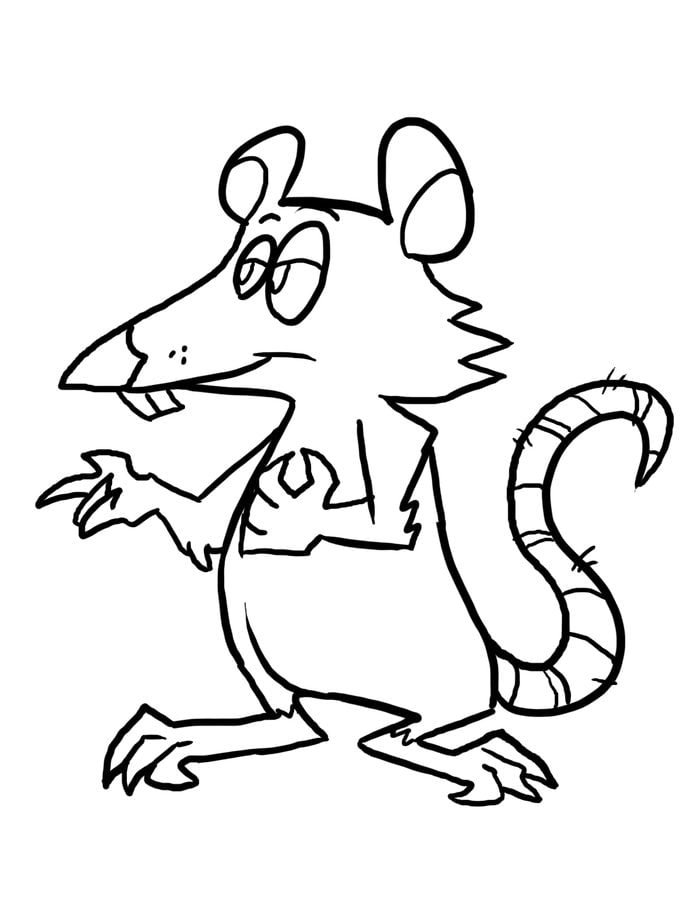 Ausmalbilder: Ratten