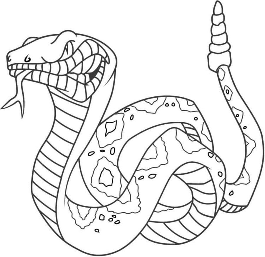 Coloring pages Rattlesnake, printable for kids & adults, free
