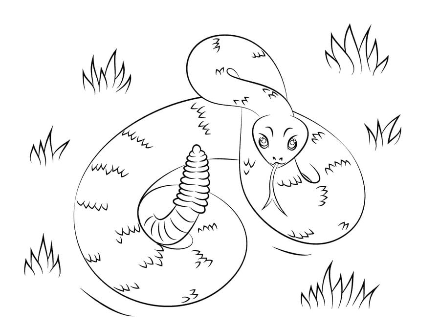 Dibujos para colorear: Serpiente de cascabel