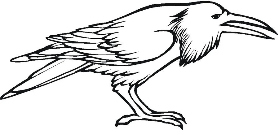 raven coloring page