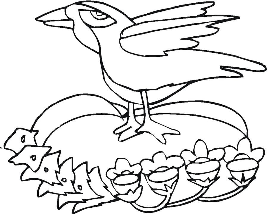 Coloring pages: Ravens