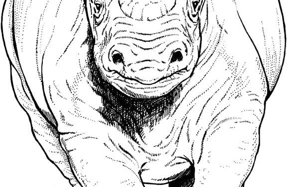 Coloring pages: Rhino