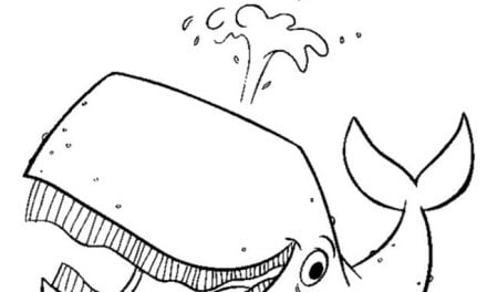 Coloring pages: Right Whale