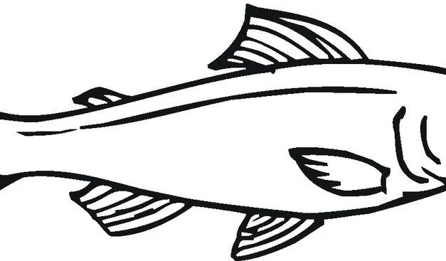 Coloring pages: Salmon