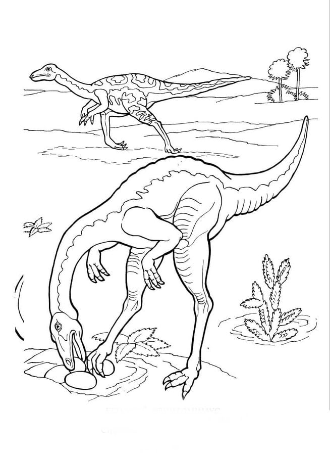 Dibujos para colorear: Dinosaurios Saurópodos