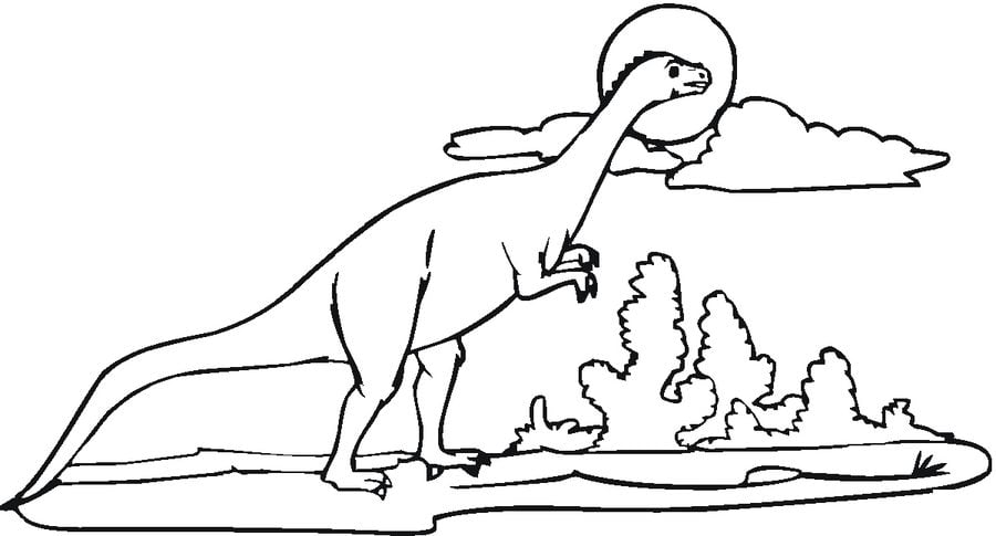 Dibujos para colorear: Dinosaurios Saurópodos