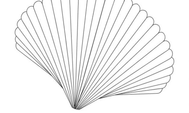 Coloring pages: Scallop