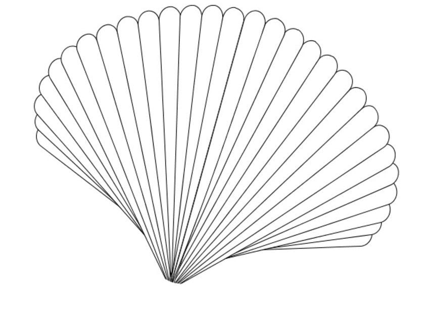 Coloring pages: Scallop