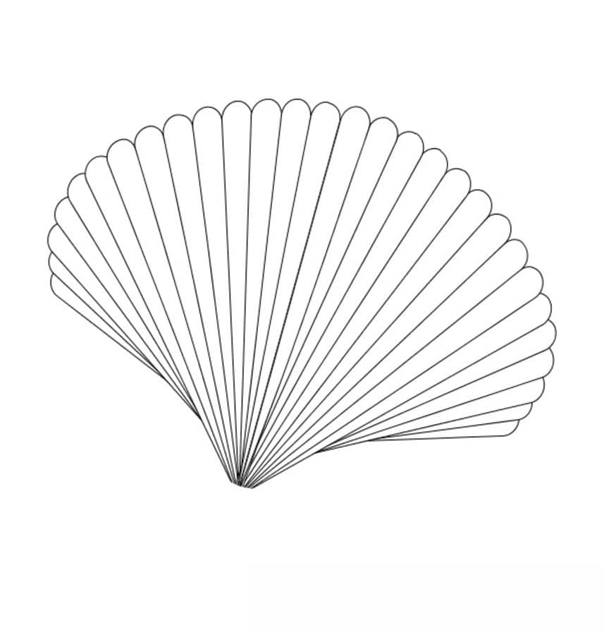 Coloring pages: Scallop 4