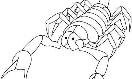 Coloring pages: Scorpions