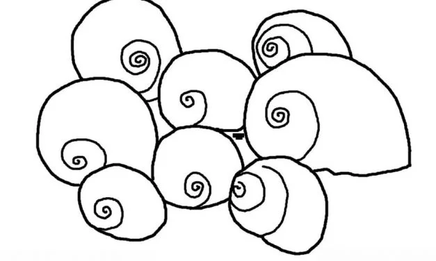 Coloring pages: Sea snail