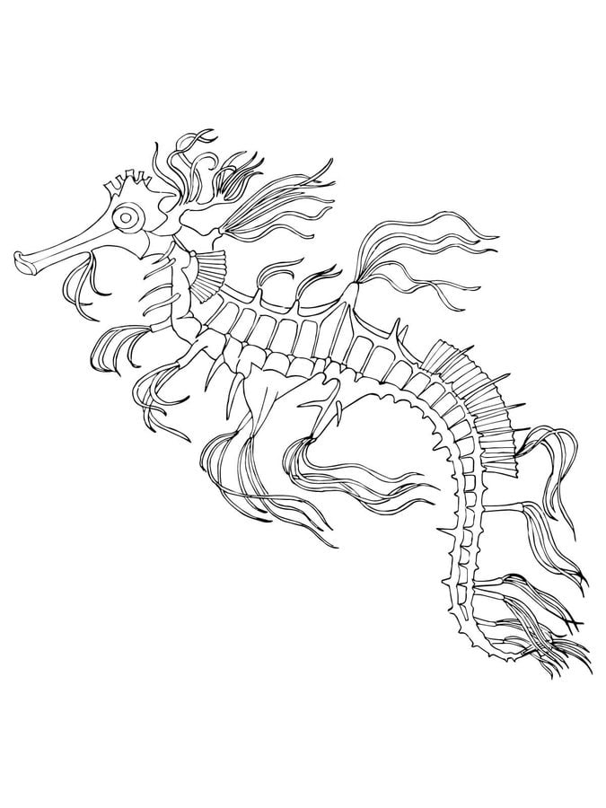 Coloring pages: Seahorse