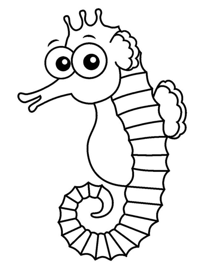Coloring pages: Seahorse