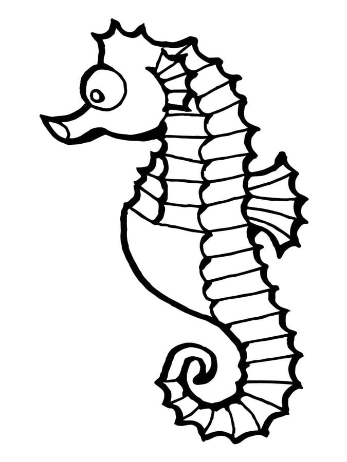 Coloriages: Hippocampes