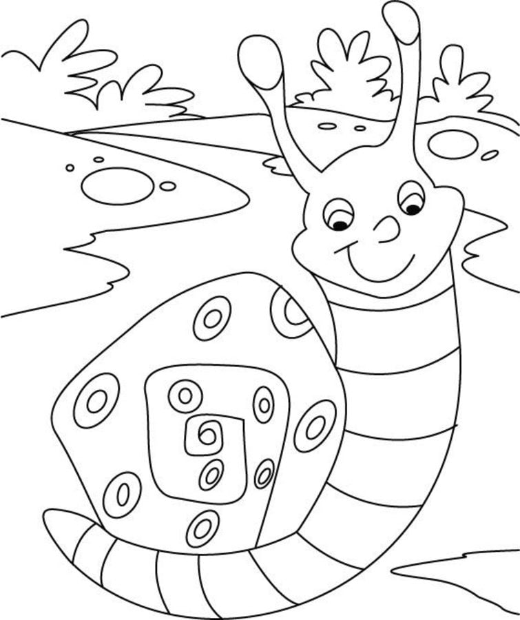 Coloring pages: Snail