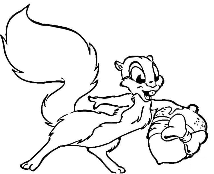 Coloring pages: Squirrel 5