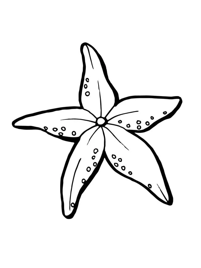 Dibujos para colorear: Estrella de mar 2