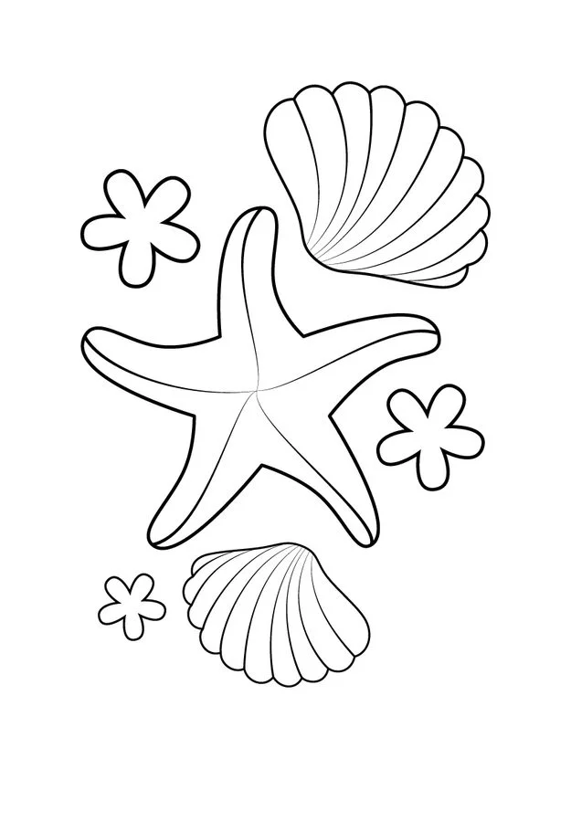 Dibujos para colorear: Estrella de mar 4
