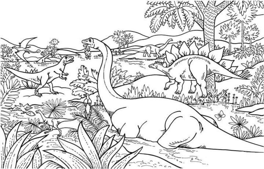 Dibujos para colorear: Stegosaurus