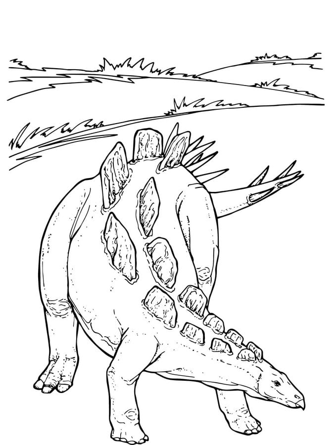 stegosaurus coloring pages